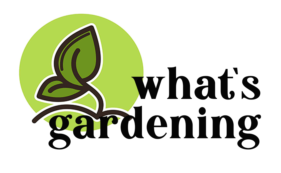 What is Gardening – Gardening Tips & Ideas