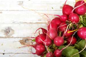 when to plant radishes