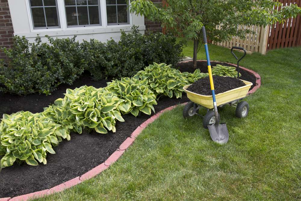 how to mulch